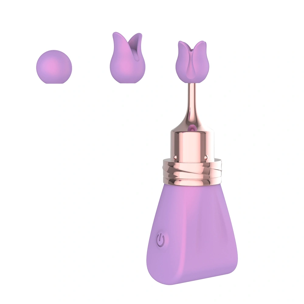 Mini Vibrator Lilac Bow cu 3 Accesorii Interschimbabile, 10 Moduri Vibratii, Silicon, ABS, USB, Lila, 8.8 cm, Guilty Toys 1 Mini Vibrator Lilac Bow cu 3 Accesorii Interschimbabile, 10 Moduri Vibratii, Silicon, ABS, USB, Lila, 8.8 cm, Guilty Toys